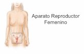 freinetbiologia.files.wordpress.com · El aparato reproductor femenino tiene órganos ... Labiog mono:reg ... el sangrado que viene del útero durante la menstruación.