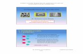 Fundamentos de Adsorción Roberto Leyva - procesosbioFundamentos+de...Hidrometalurgia Productos químicos y farmacéuticos Fase Gaseosa ... Isoterma de adsorción de Cd(II) sobre tres