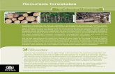 Recursos forestales - pnuma.org briefs - Material Flows/Espanol...Consumo de biomasa en América Latina: la importancia de los recursos forestales La contabilidad de flujos de materiales