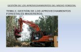 TEMA 2: GESTIÓN DE LOS APROVECHAMIENTOS … forestales y contribución a ciclos globales de carbono: la extensión de los bosques y de las superficies
