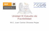 Unidad III Estudio de Factibilidad - dsc.itmorelia.edu.mxdsc.itmorelia.edu.mx/~jcolivares/courses/dp07a/dp_u3.pdf · Factibilidad • El éxito de un proyecto está determinado por