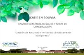 CAMBIO CLIMÁTICO, BOSQUES Y ÁREAS DE … · José Luis Santivañez, M.Sc: Responsable de Manejo y Conservación de Bosques Tropicales y biodiversidad; Gestión de ...