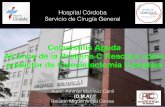 Hospital Córdoba Servicio de Cirugía Generalcirugiacordoba.com.ar/archivos/trabajos/Colecistitis-Aguda.pdf · Colecistitis Aguda Alcance de la Proteína C Reactiva cómo ... - Aplicar