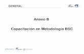 Anexo B Capacitación en Metodología BSC - gob.mx · Programa de Gran Visión del Desarrollo Litoral Capacitación en la metodología Balanced Scorecard y Mapeo de la Estrategia
