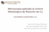 Presentación de PowerPoint - Encuentro Metalurgia · flotación. Pirrotita calcopirita 200 micrones . 6.- ... Fragmentos subangulosos de minerales opacos, de limonitas-hematita y