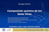 Composición química de los Seres Vivos Preparatoria Número Cuatro Universidad Autónoma del Estado de Hidalgo Características Biológicas de los Bioelementos Símbolo químico