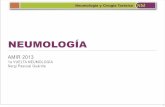 Neumología AMIR Colombia 2011 - FOROAMIR.com 1a vuelta 2013.pdfAnatomía Anatomía Zona Conducción Zona Transición Zona Respiratória De Tráquea a Bronquiolo terminal (16 generaciones)