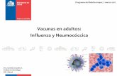 Vacunas en adultos: Influenza y Neumocóccica del Adulto mayor, 7 marzo 2017 Influenza CLASIFICACIÓN: • Virus RNA, familia Ortomixoviridae. Género influenzaviridae A, B, C y D