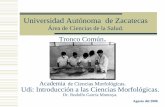 Universidad Autónoma de Zacatecas - uaz.edu.mx de disciplinas científicas que estudian el ... (SINDESMOLOGIA) SISTEMA MUSCULAR SISTEMA ... -Registra generalidades e importancia de