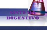 SISTEMA DIGESTIVO - … · º El aparato digestivo, es un largo tubo, con importantes glándulas asociadas, siendo su función la transformación de las complejas moléculas de