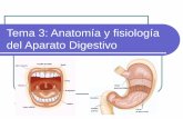 Tema 3: Anatomía y fisiología del Aparato Digestivo - uv.mx · Regulación del proceso digestivo Regulación nerviosa mediante el sistema nervioso entérico. Regula la actividad