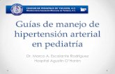 Guías de manejo de hipertensión arterialpediatrasyucatan.org.mx/wp-content/uploads/2016/02/Hipertensión... · De la Cerda Ojeda F, ... por lesión medular, Guillain-Barré… •