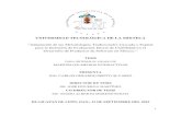 UNIVERSIDAD TECNOLÓGICA DE LA MIXTECAjupiter.utm.mx/~tesis_dig/12947.pdf1 UNIVERSIDAD TECNOLÓGICA DE LA MIXTECA “Adaptación de las Metodologías Tradicionales Cascada y Espiral