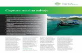 Captura marina salvaje - JCU Australia · Cada una de estas perspectivas ... la contribución de la acuicultura a la producción mundial aumentó ... 1970 se debió a la captura de