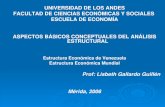 Estructura Económica de Venezuela Estructura Económica …webdelprofesor.ula.ve/economia/lisgallardo/materias/e_e_mundial/... · (como lo entendía Marx o Veblen) No se trata de