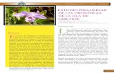Universidad y Ciencia UNAN - Managuadigital.csic.es/bitstream/10261/93741/1/estudio_preliminar_orqu... · las derivadas de la Flora de Nicaragua (Stevens et al., 2001). En todos los
