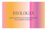 NIVEL QUÍMICO DE ORGANIZACIÓN DEL CUERPO …ssanchez/clase II UNVIME.pdf · bioelementos principales enlaces quÍmicos inorgÁnico sales minerales iindispensable secundarios biomolÉculas