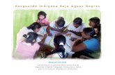 Resguardo Indígena Bajo Aguas Negras - pdf.usaid.govpdf.usaid.gov/pdf_docs/PA00JVFB.pdf · Resguardo Indígena Bajo Aguas Negras Asociación de Cabildos Uitoto del Alto Río Caquetá