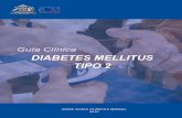 Guía Clínica 2010 Diabetes Mellitus tipo 2 - minsal.cl Descripción y epidemiología de la diabetes tipo 2 ... Los integrantes del equipo de salud y los pacientes deben estar informados