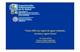 Dr. Homero Silva Asesor en Salud Ambiental … · Dr. Homero Silva Asesor en Salud Ambiental CEPIS/USB/SDE/OPS/OMS. ... Repercusiones sobre la inocuidad del agua potable, alimentos
