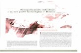 Reorganización industrial: el nuevo perfil tecnológico en ...revistas.bancomext.gob.mx/rce/magazines/98/5/RCE5.pdf · DE LAS CAPACIDADES INDUSTRIALES 1 E 1 esfuerzo de los países