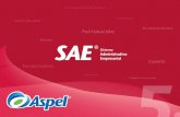 Sistema Administrativo - Grupo Snet Tisnet.com.mx/aspel/sae/documentos/presentacion.pdf · Antecedentes • Aspel-SAE nace hace más de 20 años como una solución para controlar