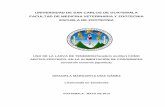 UNIVERSIDAD DE SAN CARLOS DE GUATEMALA FACULTAD DE … ·  · 2016-05-19Bromatología Análisis bromatológico de la larva de tenebrio ... evaluó la suplementación del gorgojo
