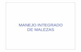 MANEJO INTEGRADO DE MALEZASecaths1.s3.amazonaws.com/terapeutica/Manejo.Integrad… ·  · 2011-08-01Plaga de importancia económica potencial para el área en peligro cuando aún