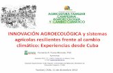 INNOVACIÓN AGROECOLÓGICA y sistemas agrícolas … · Turismo, recreación Paisaje Educación Preservación de tradiciones Alimentos sanos Protección de especies (biodiversidad)