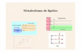 Metabolismo de lípidos - IHMC Public Cmaps (3)cmapspublic3.ihmc.us/rid=1255987548001_914563705... · • La carnitina y un transportador facilitan la entrada de los ... RESUMEN DE