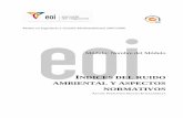 INDICES DEL RUIDO AMBIENTAL Y ASPECTOS …api.eoi.es/api_v1_dev.php/fedora/asset/eoi:45681/componente45680.pdf · Master en Ingeniería y Gestión Medioambiental 2007/2008 ©: ...
