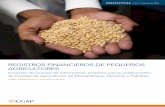 REGISTROS FINANCIEROS DE PEQUEÑOS … 2 - Spanish.pdf · Registros financieros de pequeños agricultores: Creación de la base de información empírica con la colaboración de familias