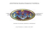 UNIVERSIDAD DE SAN CARLOS DE GUATEMALA FACULTAD DE ...biblioteca.oj.gob.gt/digitales/41422.pdf · Guatemala, Abril de 2007 . ... Clases de documentos ... Transcripciones mercantiles.