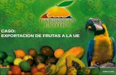 CASO: EXPORTACION DE FRUTAS A LA UE - …trade.ec.europa.eu/doclib/docs/2013/june/tradoc_151548.pdf- Sector importador de frutas alemán visita Colombia y se dispara la demanda por