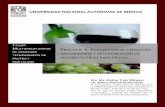UNIVERSIDAD NACIONAL AUTÓNOMA DE MÉXICO · Identificar la capacidad antioxidante de los frutos y/o vinos y asociarlos al contenido de fenoles ... dotados de una reactividad alta
