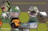 Cooperativismo no sector forestal - quen é quenxesforesta.com/media/uploads/dossier_xornadas_rev.pdf ·  · 2014-11-13maioría dos casos coa produción forestal madeirei-ra que