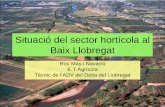 Situació del sector hortícola al Baix Llobregat€“ S’observa una sol cicle en tot l’any • Vol Æsetembre – novembre • Inici de danys al març Inici tractaments – Després