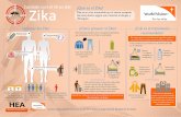 Cuidado con el Zika - wvi.org con el zika_0.pdfCuidado con el Virus del del Zika: Fiebre Leve Conjuntivitis ... otras complicaciones, consultar inmediatamente un médico o asistir
