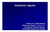Abdomen Agudo - blogs.eco.unc.edu.arblogs.eco.unc.edu.ar/cirugia/files/2011/08/ABDOMEN-AGUDO.pdf · Pancreatitis Bridas Con perforación ... 1-La patolog ía aguda del abdomen nos