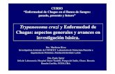 Trypanosoma cruzi y Enfermedad de Chagas: aspectos ... T cruzi.pdf · Trypanosoma cruzi y Enfermedad de Chagas: aspectos generales y avances en investigación básica. CURSO “Enfermedad