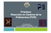 Práctica: Reacción en Cadena de la Polimerasa (PCR) · Práctica: Reacción en Cadena de la Polimerasa (PCR) Dra. ... Laboratorio Cavendish, ... Aplicaciones practicas más comunes