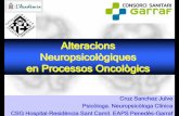 Alteracions Neuropsicològiques en Processos Oncològics€¦ ·  · 2014-12-19Neuropsicologia tumors SNC i MTS. ... (autoregulació de la conducta, iniciativa, flexibilitat, ...