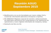 Reunión ASUG Septiembre 2015asug.org.ar/.../2015/09/Presentación-ASUG-Reunion-20150922-SAP.pdf · Reunión ASUG Septiembre 2015 Modificación a la Ley de Sociedades por nuevo código