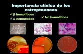 Importancia clínica de los estreptococosdepa.fquim.unam.mx/bacteriologia/20132/streptococcus_90313c2.pdf · Estreptococcias debidas a invasividad • Impétigo, infección de heridas