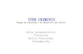 ITER CRIMINIS - minjus.gob.pe I. Ed. Jur. 2007. ... tentativa de robo…delito frustrado de estafa, de robo, ... principio de ejecución es el principio de ejecución de la conducta