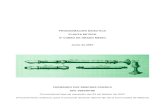 PROGRAMACIÓN DIDÁCTICA FLAUTA DE PICO 6º …fernandopaz.org/wp-content/uploads/2014/03/Programación.TNN_.pdf · ... Instrumentos Antiguos de Cuerda Pulsada y Viola de Gamba, ...
