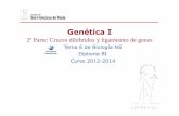 Tema 6 de Biología NS Diploma BI Curso 2012-2014 dihíbridos En este tipo de cruce se estudian dos caracteres controlados por dos genes localizadosendoscromosomasdistintos.