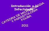 Introducción a la Infectología. - UBA Microbiologia/fotos book/guias de... · •Aedes: virus de la Fiebre Amarilla CATEDRA DE MICROBIOLOGIA Y PARASITOLOGIA FOUBA. Puertas de entrada