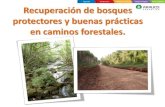 Recuperación de bosques protectores y buenas prácticas en ...ecologia.misiones.gov.ar/ecoweb/Publicaciones/III_Encuentro... · • Sectores sin obras de drenaje (perfil abovedado,