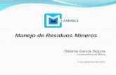 Manejo de Residuos Mineros - Instituto de Ingenieria … sólidos urbanos y de manejo especial; prevenir la contaminación de sitios con estos residuos, y llevar a cabo su ... NMX-AA-132-SCFI-2006,